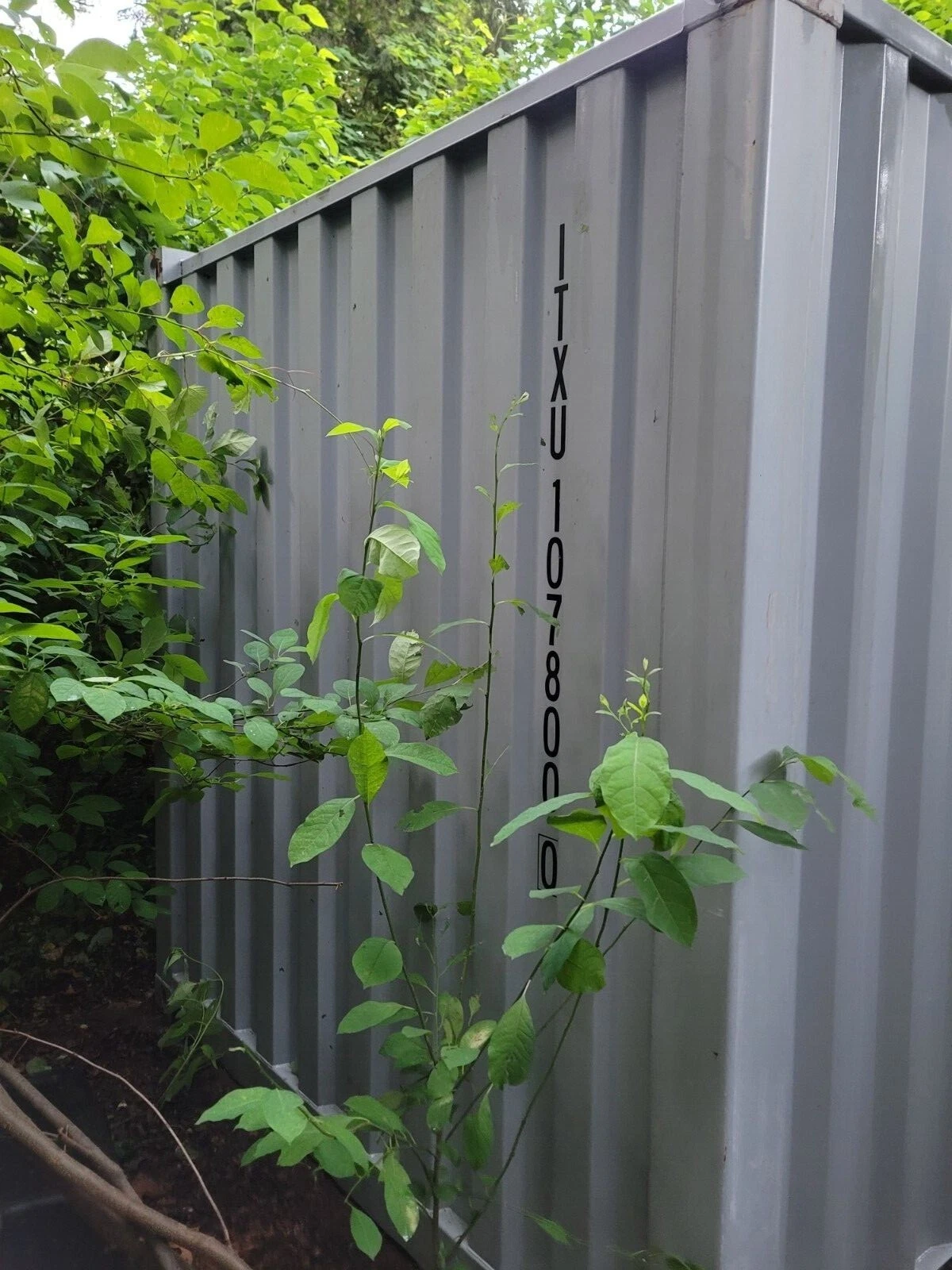 Used 20ft Steel Shipping Container - Image 3